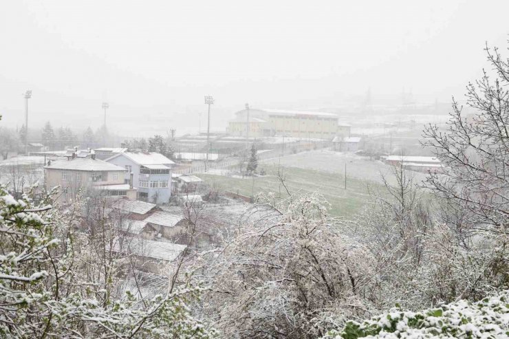 Mart kapıdan baktırdı: Kavak beyaza büründü