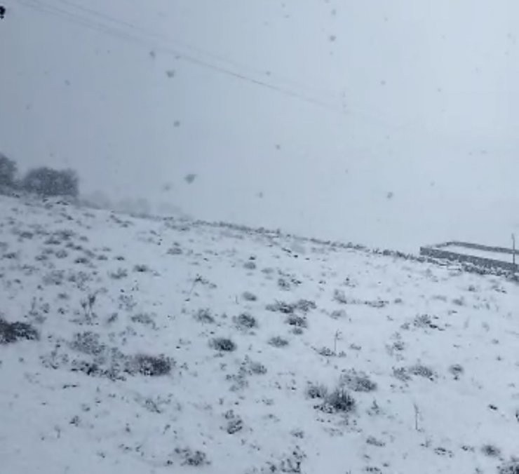 Mazıdağı beyaz örtüye büründü