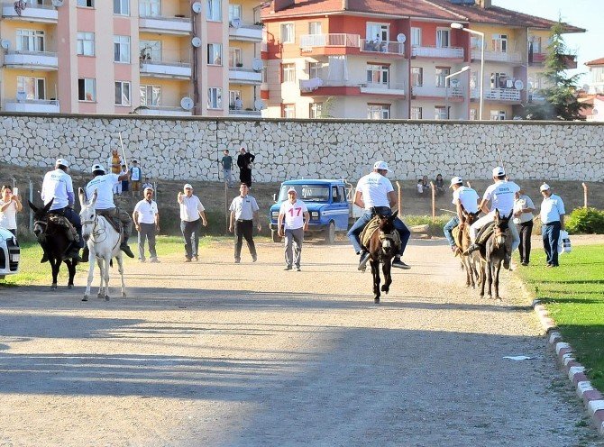 "Eşeğe Düz Binme", "Eşeğe Ters Binme" ve "En Güzel Gözlü Eşek" yarışmaları