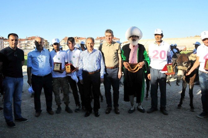 "Eşeğe Düz Binme", "Eşeğe Ters Binme" ve "En Güzel Gözlü Eşek" yarışmaları
