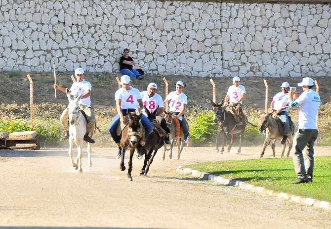 "Eşeğe Düz Binme", "Eşeğe Ters Binme" ve "En Güzel Gözlü Eşek" yarışmaları