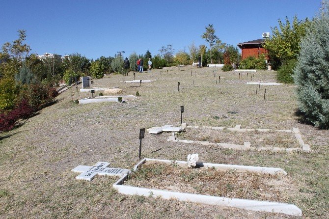 Süryani Kadim Mezarlığına zarar verildi
