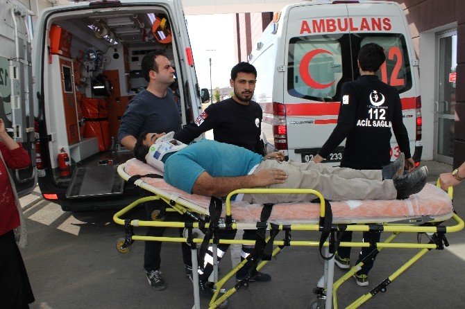 İncir ağacından düşen adam yaralandı