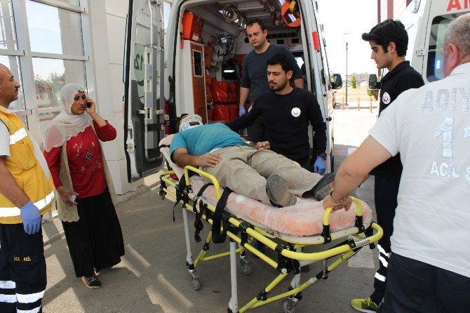 İncir ağacından düşen adam yaralandı