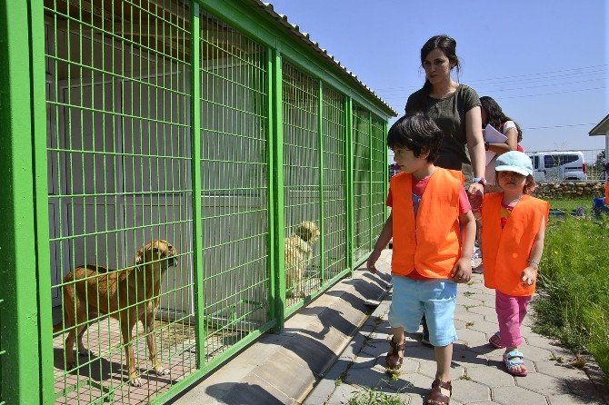 Minik öğrenciler Tepebaşı Belediyesi Doğal Yaşam Merkezi’ni ziyaret etti
