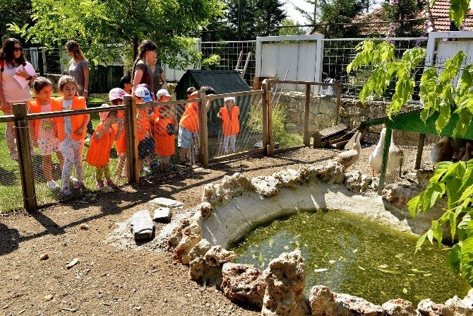 Minik öğrenciler Tepebaşı Belediyesi Doğal Yaşam Merkezi’ni ziyaret etti