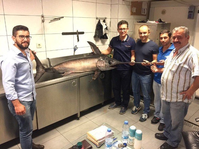 Antalya’da 55 kilogramlık kılıç balığı yakalandı