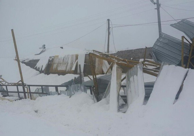 Aksaray’da çatısı kar ağırlığına dayanamayan 2 mandıra çöktü