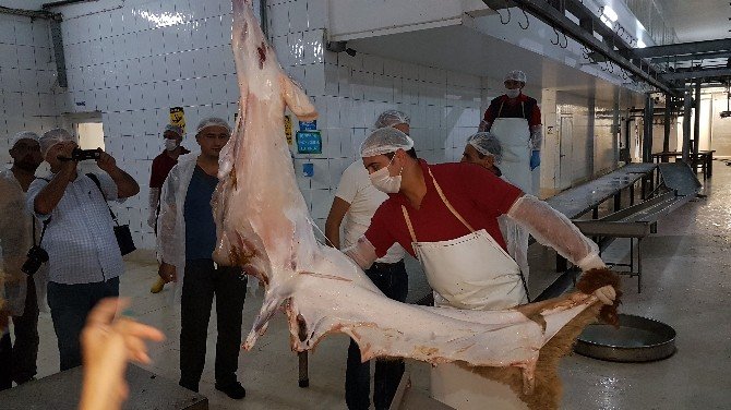 Manavgat Halk Eğitim’den kurban kesim kursu