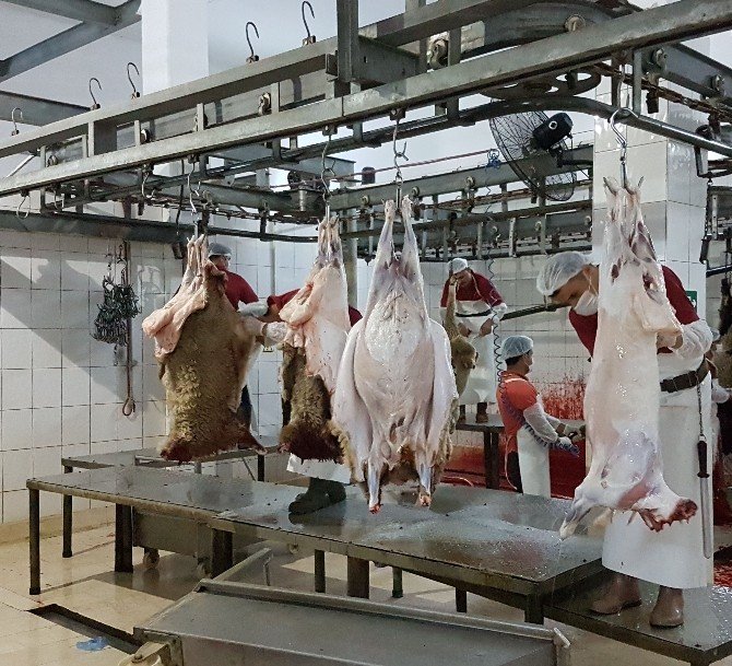 Manavgat Halk Eğitim’den kurban kesim kursu