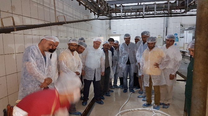 Manavgat Halk Eğitim’den kurban kesim kursu