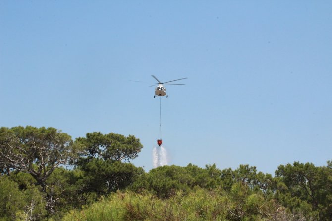 Manavgat'ta orman yangını