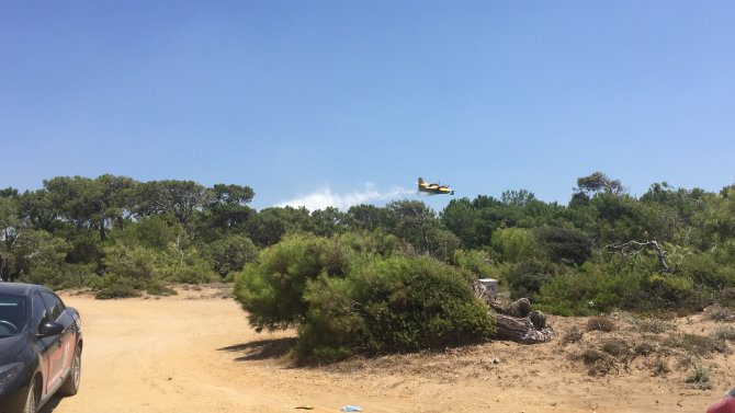 Manavgat'ta orman yangını