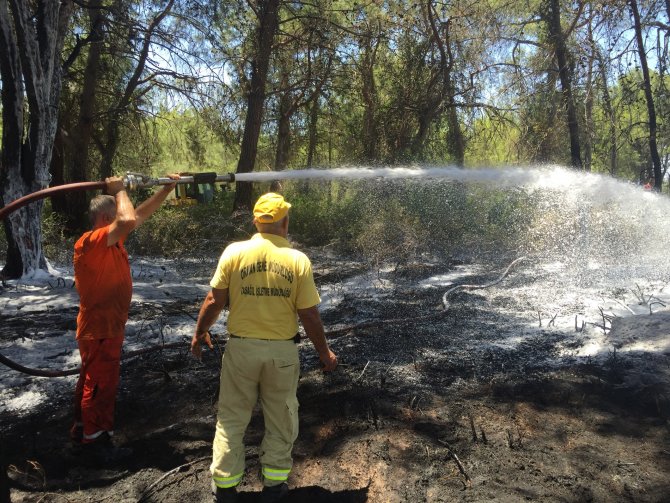 Manavgat'ta orman yangını