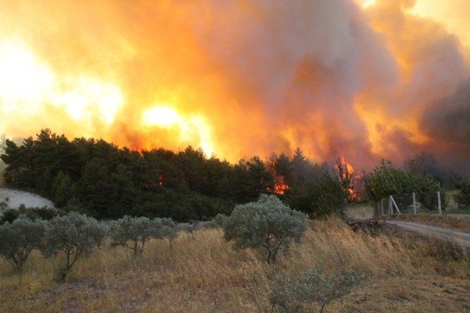 Orman yangın alanlardaki ölçümler insansız hava aracı ile yapıldı