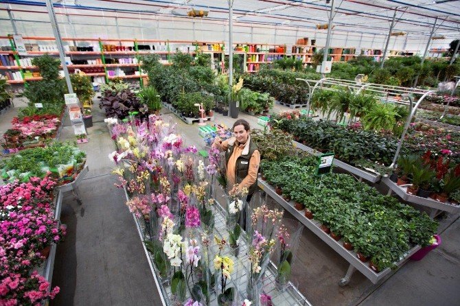 Türkiye’nin en büyük ‘Bahçe Market’i Alibeyköy’de