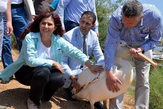 Serçin Ekoturizmin Merkezi Olacak