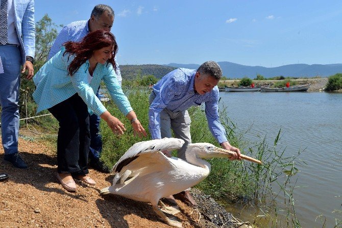 Serçin Ekoturizmin Merkezi Olacak