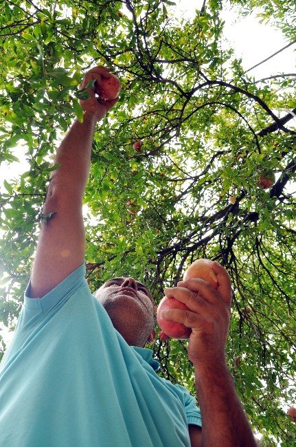 Narın tahta kaşıktan çizmeli ayaklara kadar uzanan ’ekşi’ yolculuğu