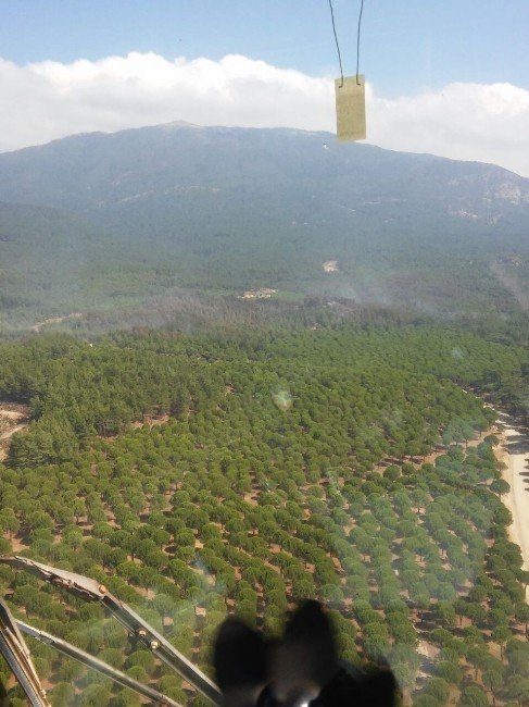 265 orman yangınında 450 hektar alan zarar gördü