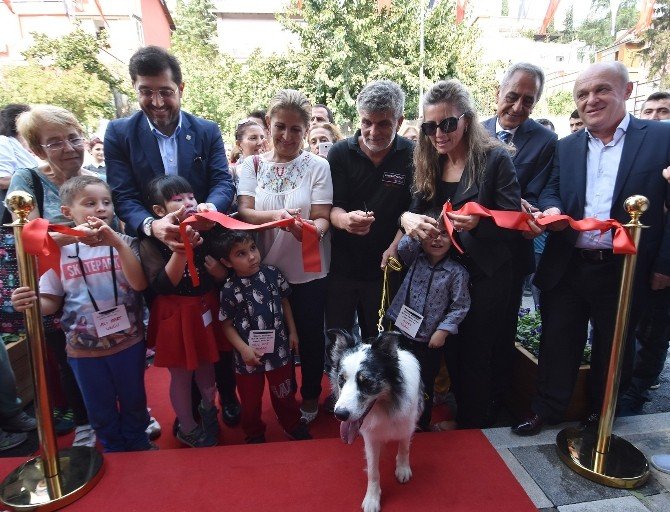 Beşiktaş Belediyesi, Hayvanları Kısırlaştırma ve Rehabilitasyon Merkezi hizmete açıldı