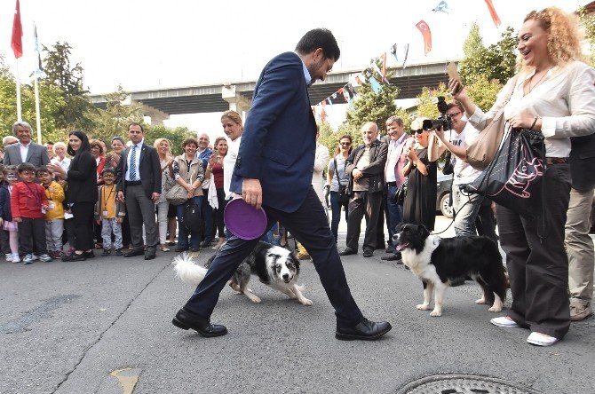 Beşiktaş Belediyesi, Hayvanları Kısırlaştırma ve Rehabilitasyon Merkezi hizmete açıldı
