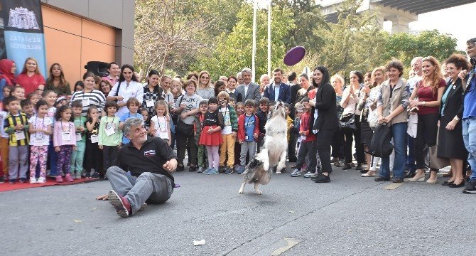 Beşiktaş Belediyesi, Hayvanları Kısırlaştırma ve Rehabilitasyon Merkezi hizmete açıldı