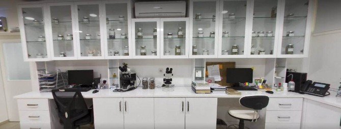 BVU sertifikalı Fitoterapi Eğitim Programı başladı