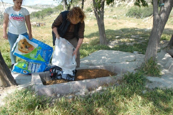 Burdurlu Hayvanseverlerden Çöplükte Yaşayan Hayvanlara Yardım Eli