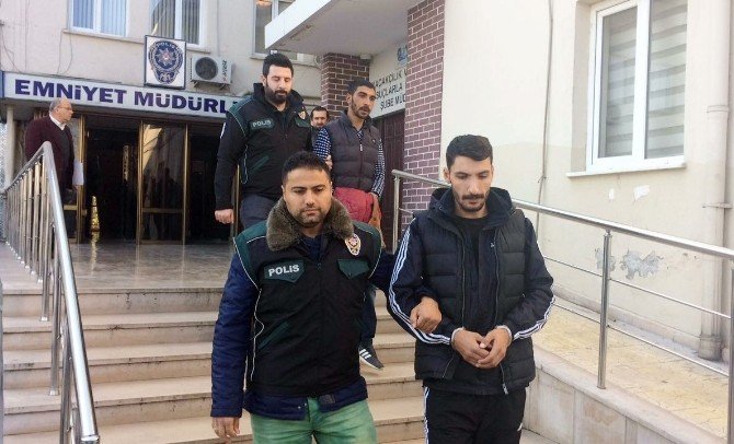 Uyuşturucu operasyonunda ’skunk’ ele geçirildi