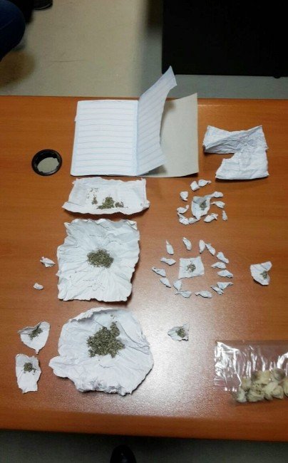 Uyuşturucu operasyonunda ’skunk’ ele geçirildi