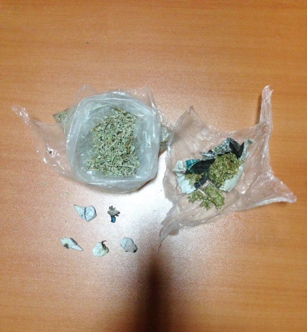 Uyuşturucu operasyonunda ’skunk’ ele geçirildi