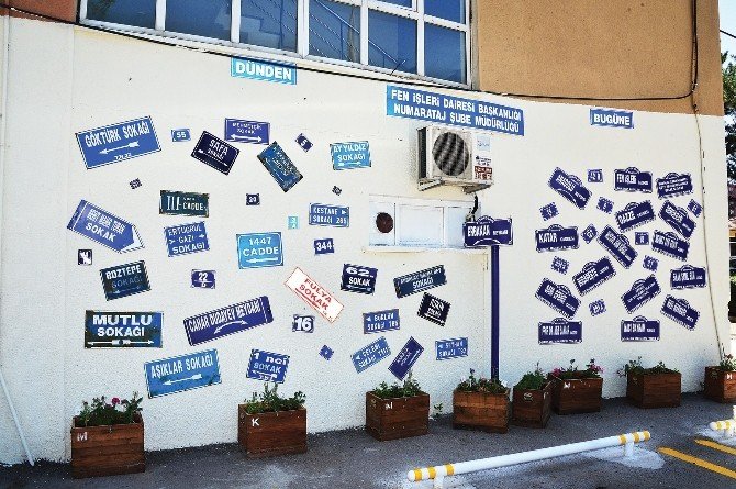 Başkent’te binalara Ankara Kedisi logolu kapı numarası