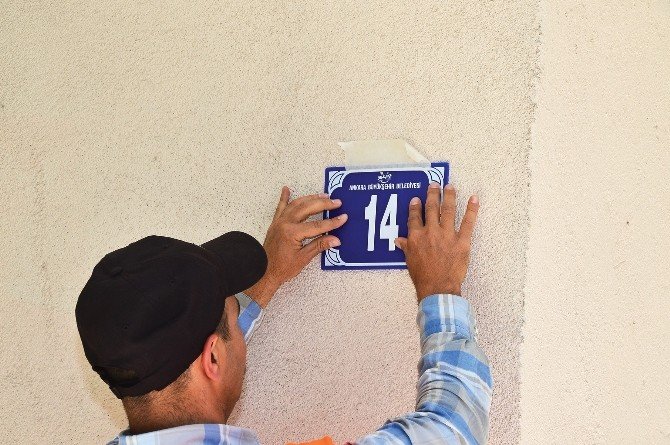 Başkent’te binalara Ankara Kedisi logolu kapı numarası