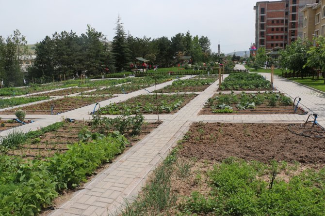 Çankırı Adliyesi'ne kurulan hobi ve dinlenme bahçesi açıldı