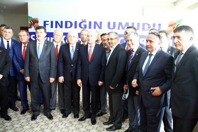 Kılıçdaroğlu: “Fındık AR-GE’si Oluşturulmalı”