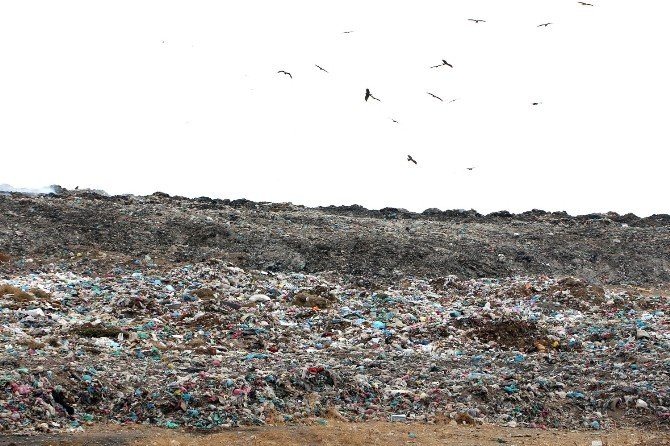 Ceylanpınar’da Çöp Depolama Alanı Kaldırılıyor