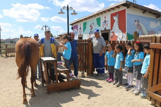 Çorlu Hayvanat Bahçesi İlgi Görüyor