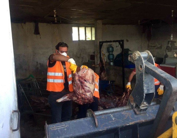 Domuz eti satarken yakalanan kasap, yetkilileri göreve çağırdı