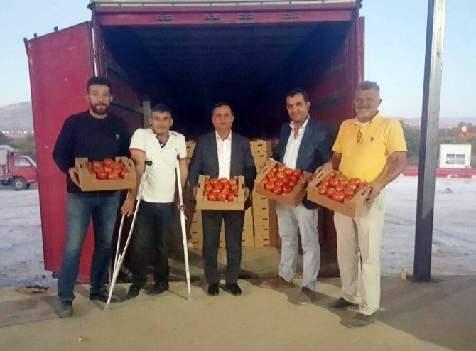 Denizli’de üretilen rekortmen domatesler Gürcistan’a gitti