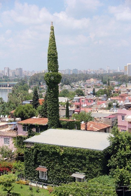 Adana’daki Yeşil Cami, Çiçek Kokularıyla Cemaati Adeta Büyülüyor