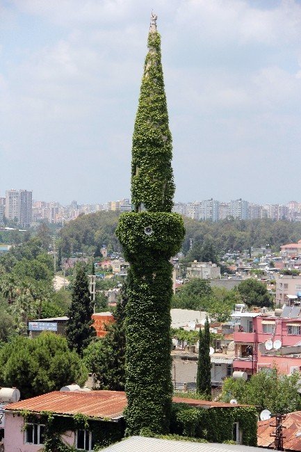 Adana’daki Yeşil Cami, Çiçek Kokularıyla Cemaati Adeta Büyülüyor