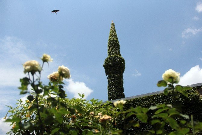 Adana’daki Yeşil Cami, Çiçek Kokularıyla Cemaati Adeta Büyülüyor