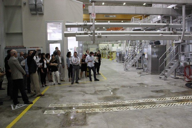 İpek Kağıt’tan 300 Milyon Liralık Yatırım Hamlesi