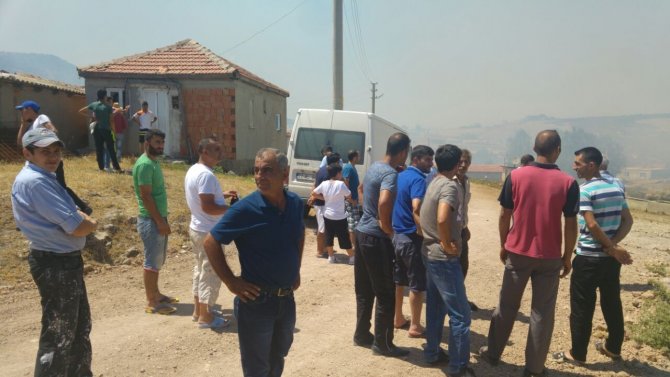 Enez'de orman yangını