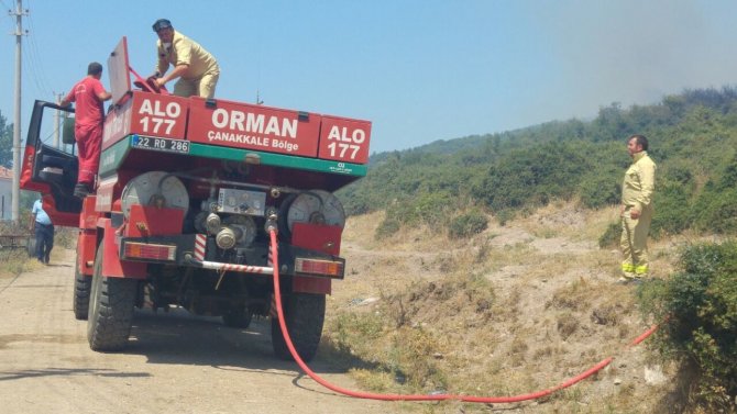 Enez'de orman yangını