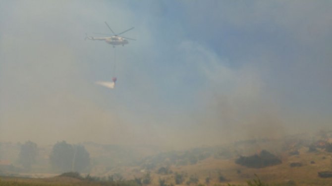 Enez'de orman yangını