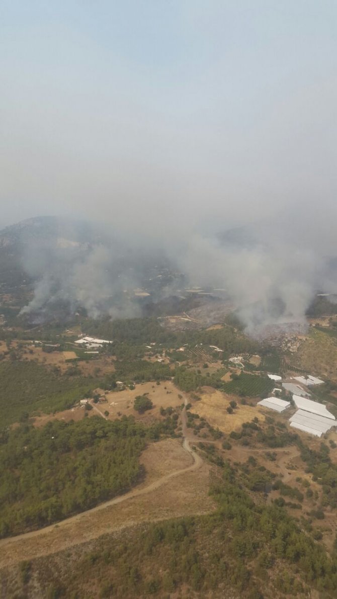Keşan'daki orman yangını kısmen kontrol altına alındı