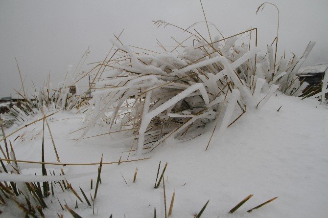 Bodrum’da yaz, Ardahan’da kar