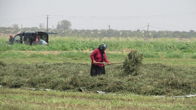 Karkamış Belediye Başkanı Nuh Kocaaslan: